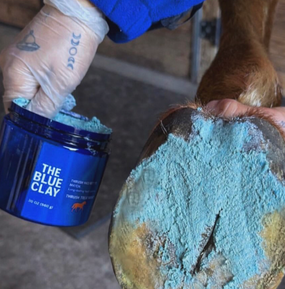 Bulk Blue Clay for Horses – 6 lb Hoof-Packing Thrush & White Line Treatment