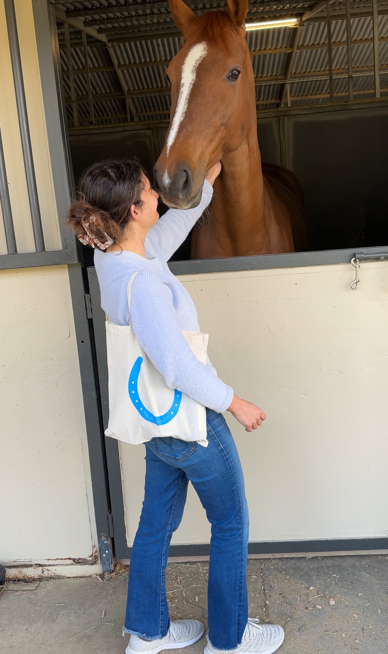The Blue Hoof Barn Tote