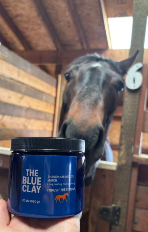 What Your Farrier Wishes More Horse Owners Understood