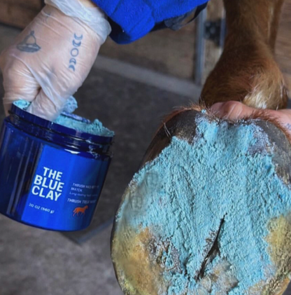 The Blue Hoof Bundle