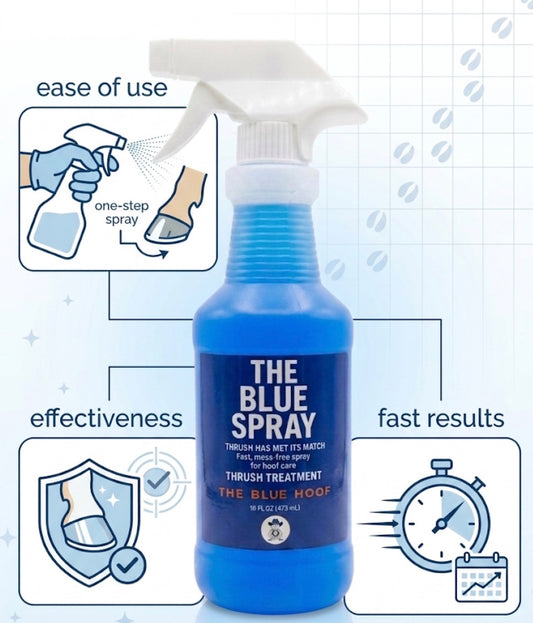 Equine Thrush Treatment Hoof Spray – 16 oz