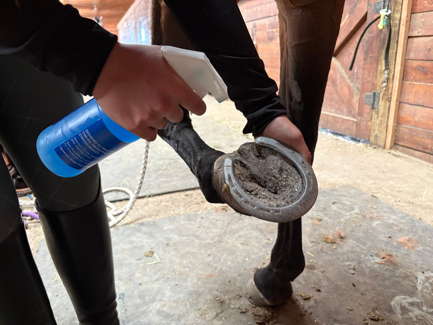 Equine Thrush Treatment Hoof Spray, 16 oz