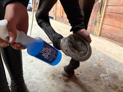 Equine Thrush Treatment Hoof Spray, 16 oz