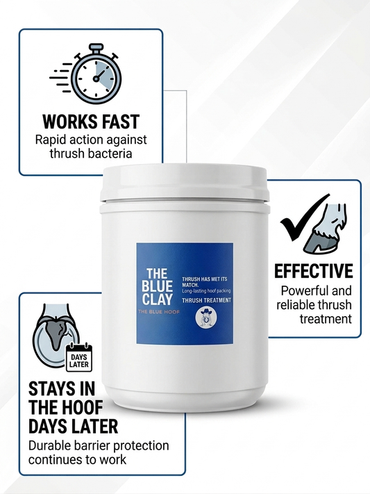 Bulk Blue Clay for Horses – 6 lb Hoof-Packing Thrush & White Line Treatment