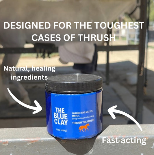 The Blue Clay