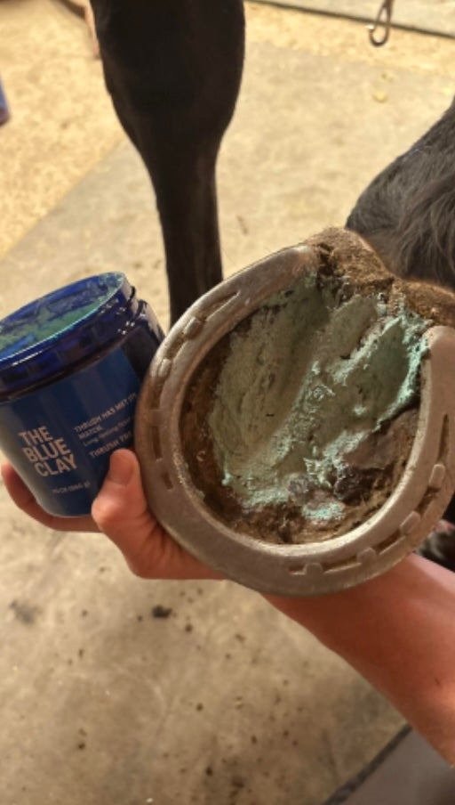 Bulk Blue Clay for Horses – 6 lb Hoof-Packing Thrush & White Line Treatment