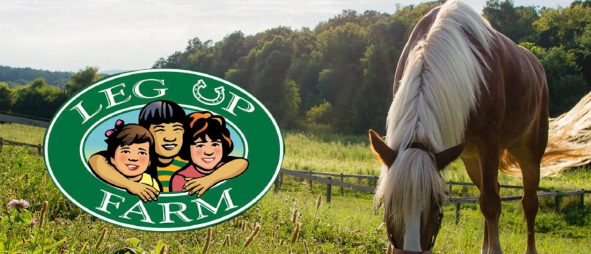Horse grazing in a field with Leg Up Farm logo in the foreground