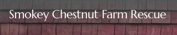 Text 'Smokey Chestnut Farm Rescue' on a wooden background